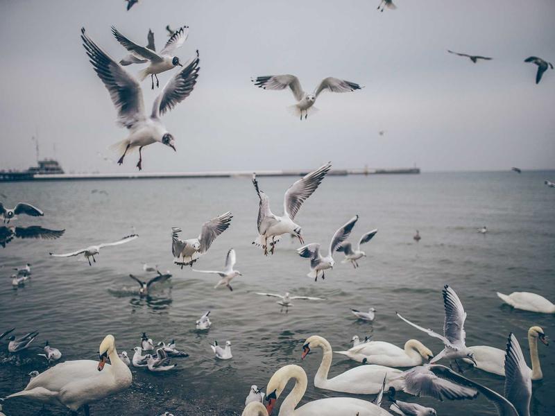 sudoku backup save screenshot 5