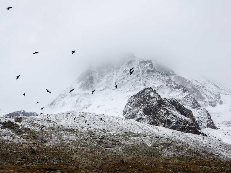 sudoku solver screenshot 5